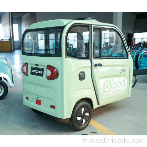 Tricycles électriques à 3 roues avec un siège passager